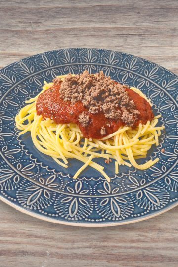 Spaghetti Sauce, noodles, and meat on a plate