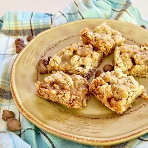 Carmelitas on a brown plate with a few chocolate chips sprinkled around, and a blue plaid towel underneath the plate