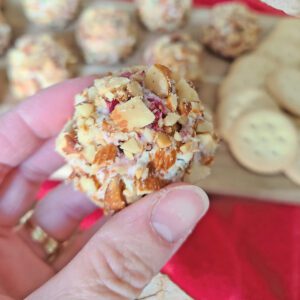 Cranberry Almond Cheeseball Bites closeup