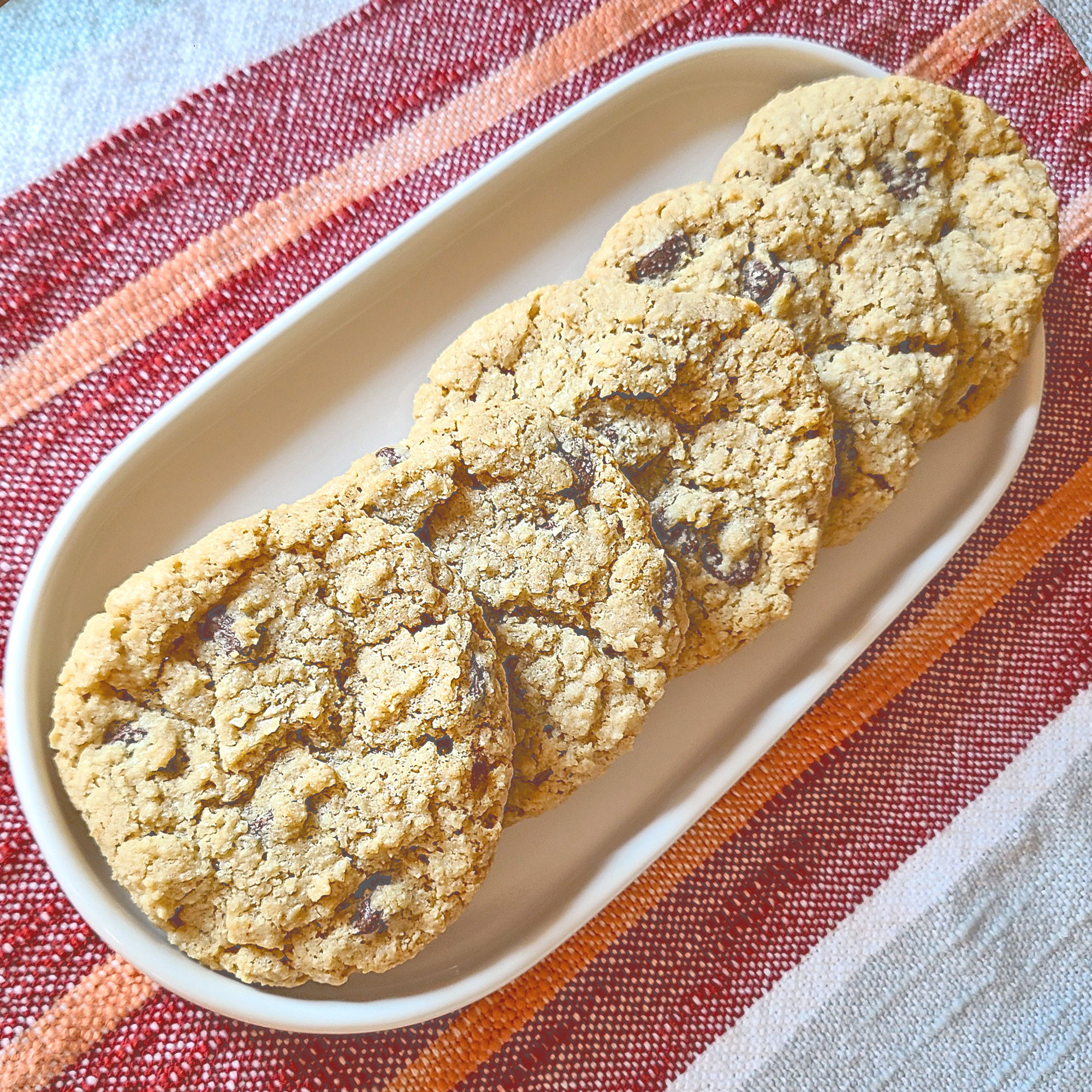 gluten free chocolate chip oatmeal cookies on a white oval plate